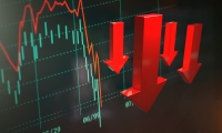 新春走基层丨“洋鹅”带动10亿元大产业——山东临朐特色养殖业走访见闻