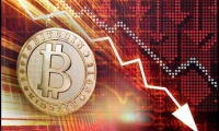 海外高端客户持续突破 迈瑞医疗前三季度营收和净利保持双增态势